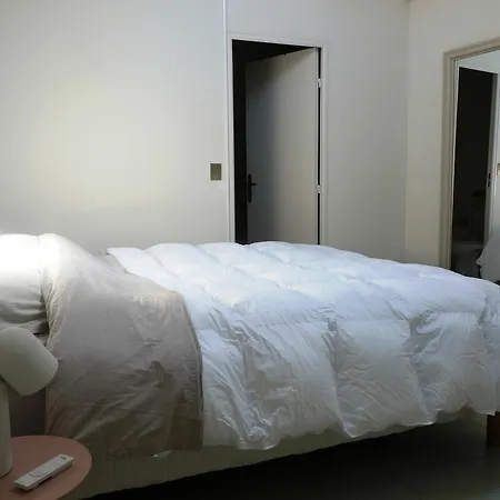 Clemenceau 68 Appartement Cannes